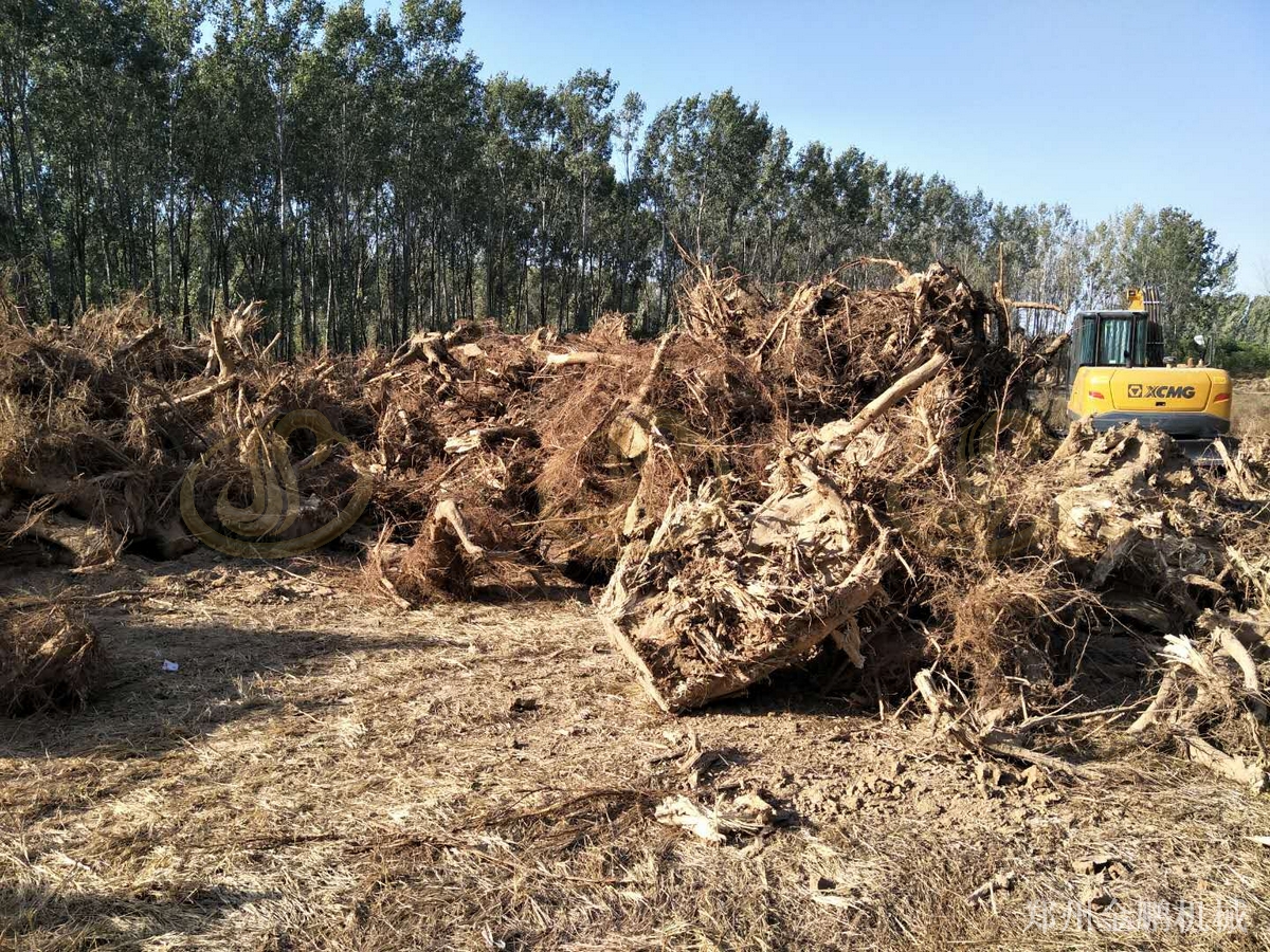 郑州金鹏大型树枝粉碎机型号及价格与破碎枝条出料说明